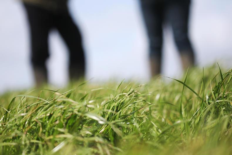 Farmers to find out how to pass a Bord Bia QA audit today