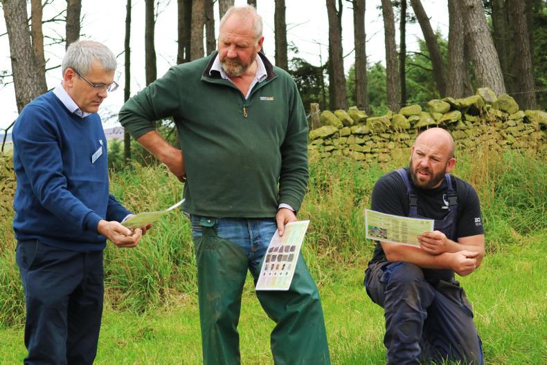 Dealing with soil compaction issues