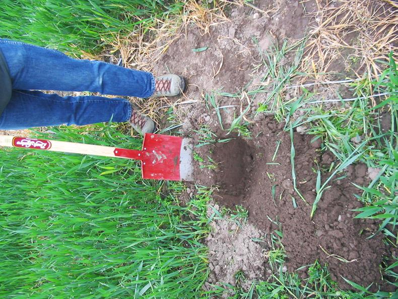 Farmer KnowHow visual evaluation of soil structure Premium