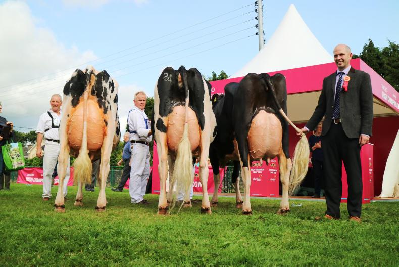 Echo leads 2017 Baileys cow competition