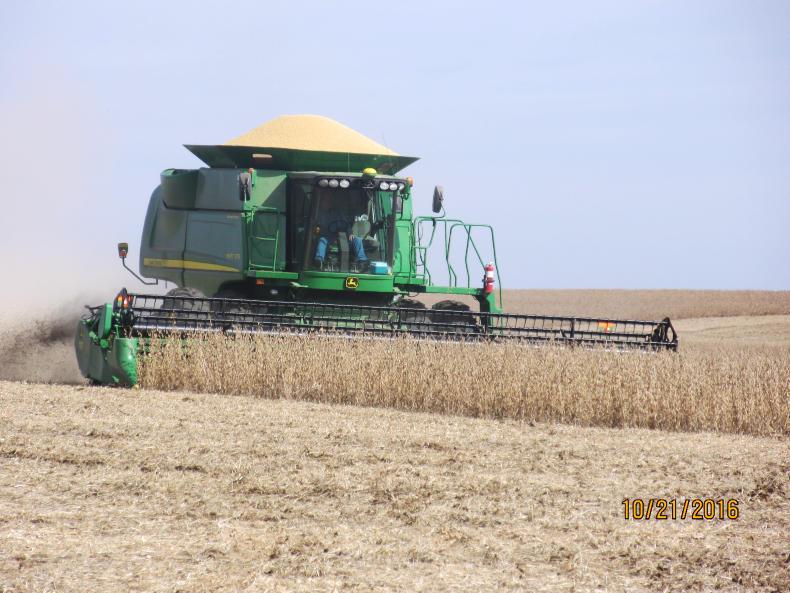 Irish lads make an impact in Missouri