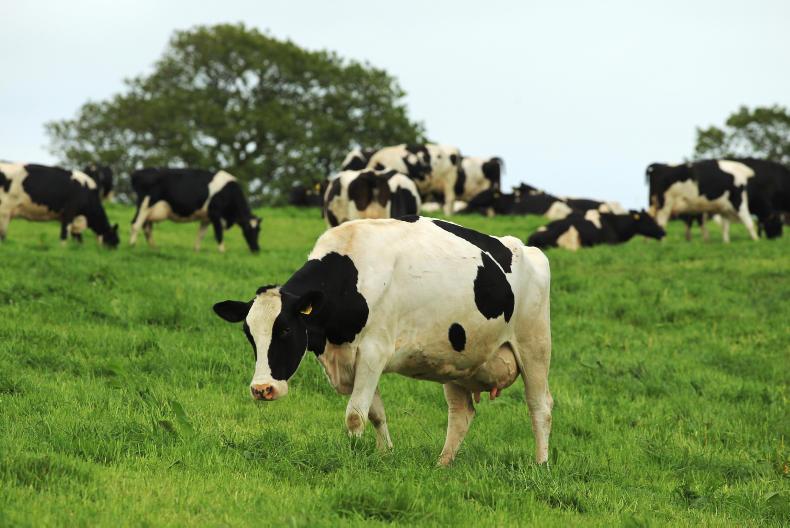 Milk prices rise by 10p/litre on previous year