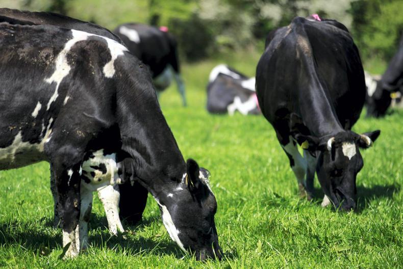 Monday Management: managing surplus grass
