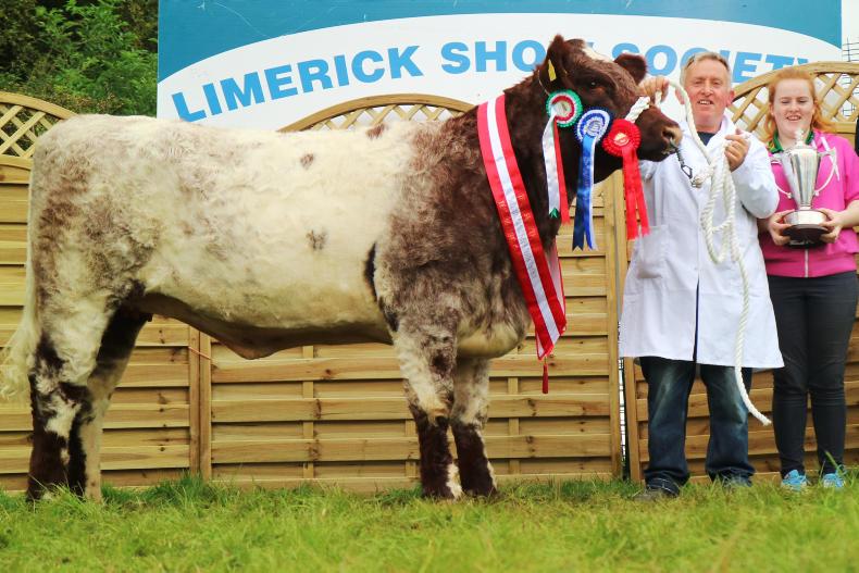 Bushypark secures two in a row 