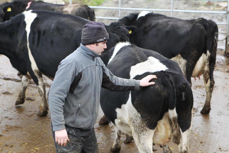 Farmer Writes: maybe Glanbia should revisit linking feed and milk prices