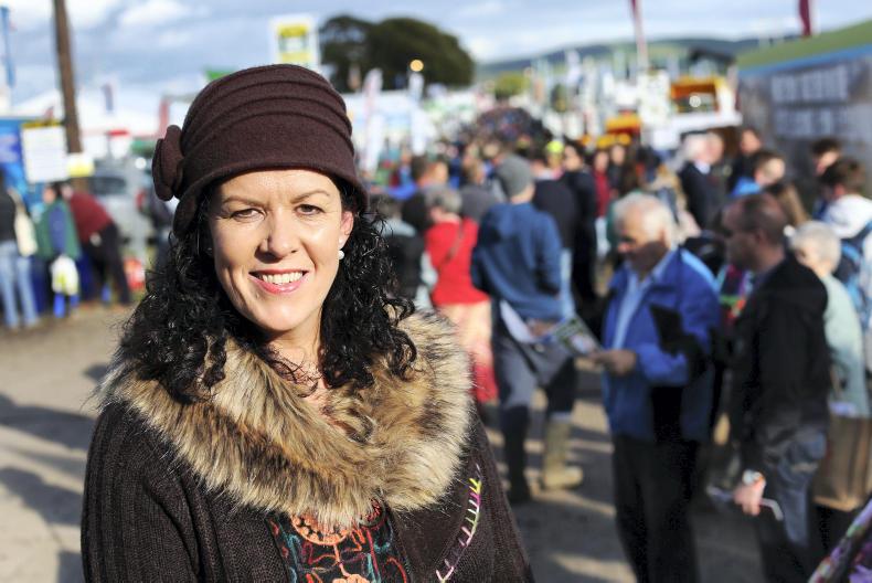 What has Glastonbury and the Ploughing got in common? 