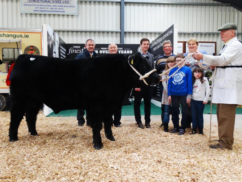 Opportunities in Angus