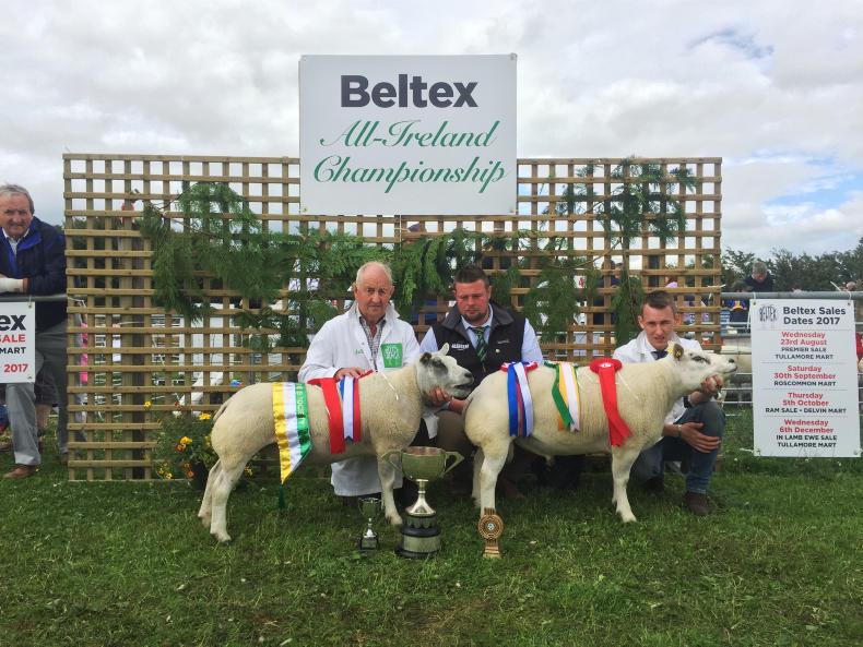 Beltex breeders to demonstrate breed carcase qualities