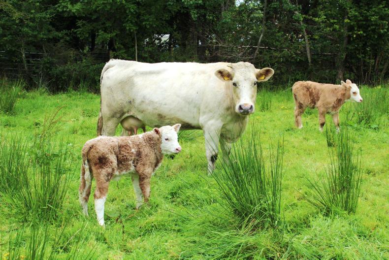 News in brief from Northern Ireland