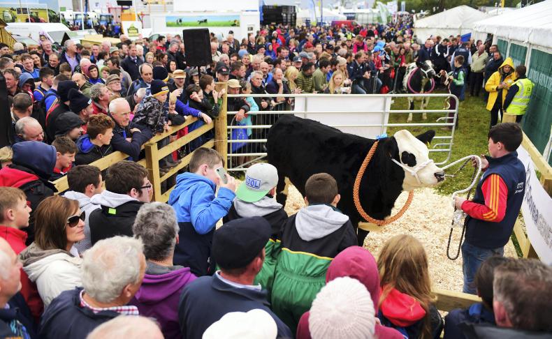 Dovea Genetics looking forward to Ploughing 2017