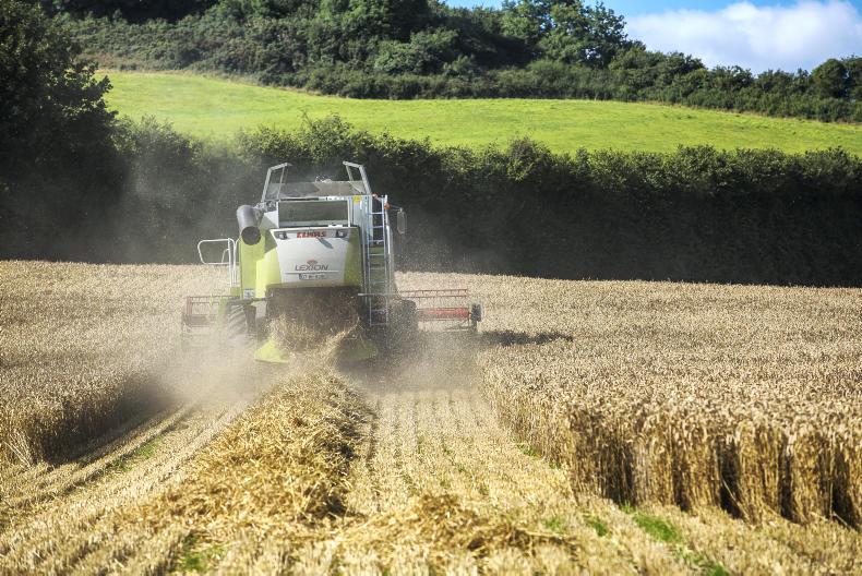Straw prices steady as slow harvest continues