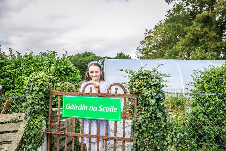 The outdoor classroom: Starting a school garden with Maura Sheehy