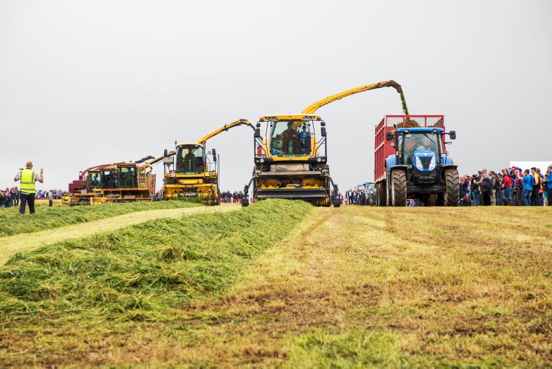 In pictures: Ford 100 Fest at the Cork home of Henry Ford