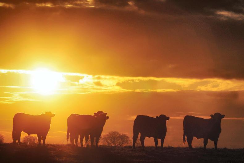 Ten things sure to annoy a farmer