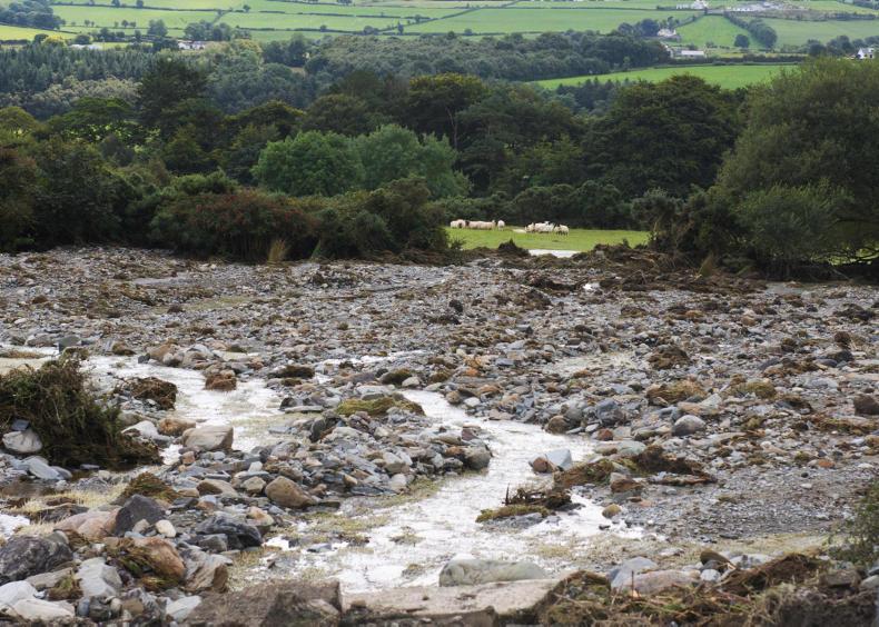 DAERA to cover fallen stock costs for flooded farms in NI