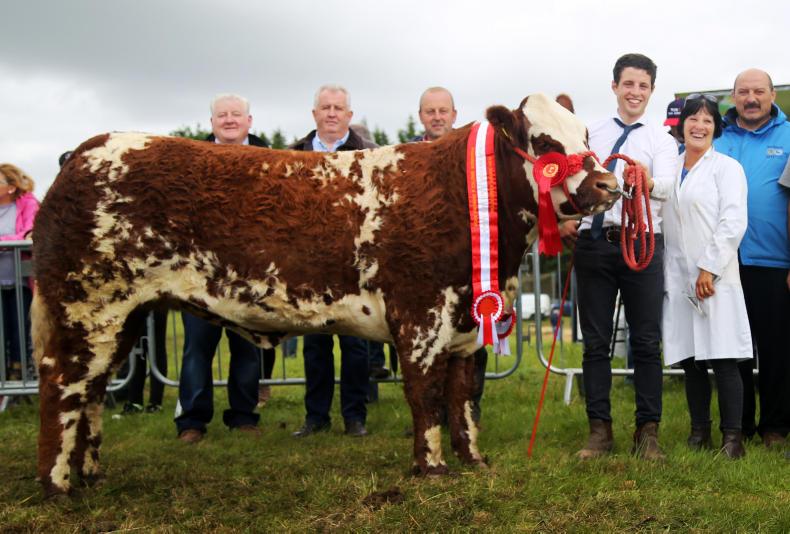 Parade of champions: August 2017