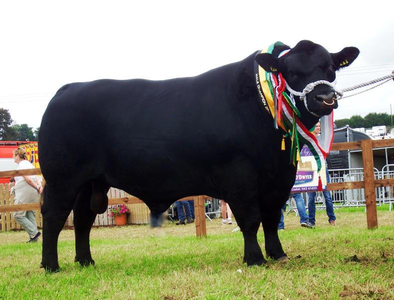 Mogeely secure sixth provincial trophy in a row