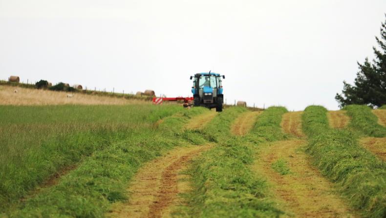 Farm Profit Programme: Sow, grow, harvest, repeat 
