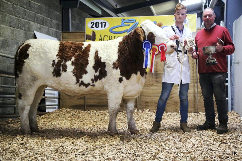 In pictures: €40,000 prize fund draws crowd to 40th Elphin Show