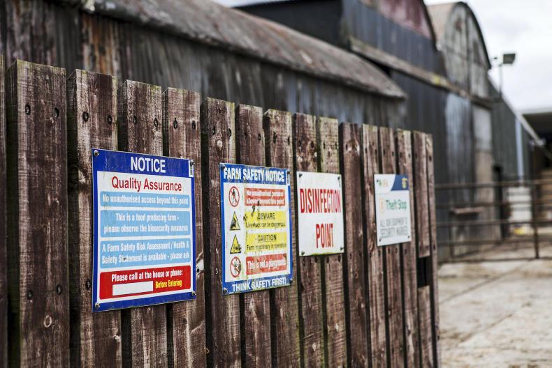 Dempsey at Large: a safety inspection – no appointment necessary