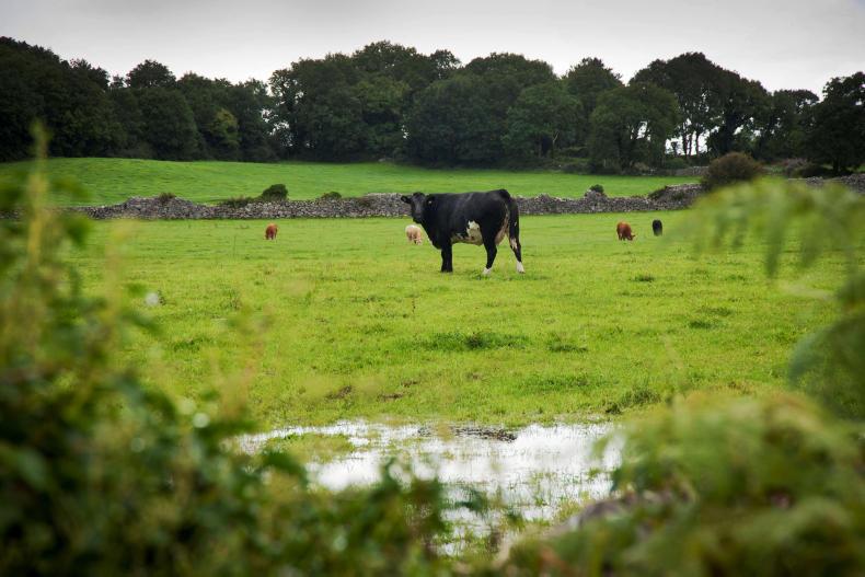 Rain and waterlogged soils take a toll in the northwest