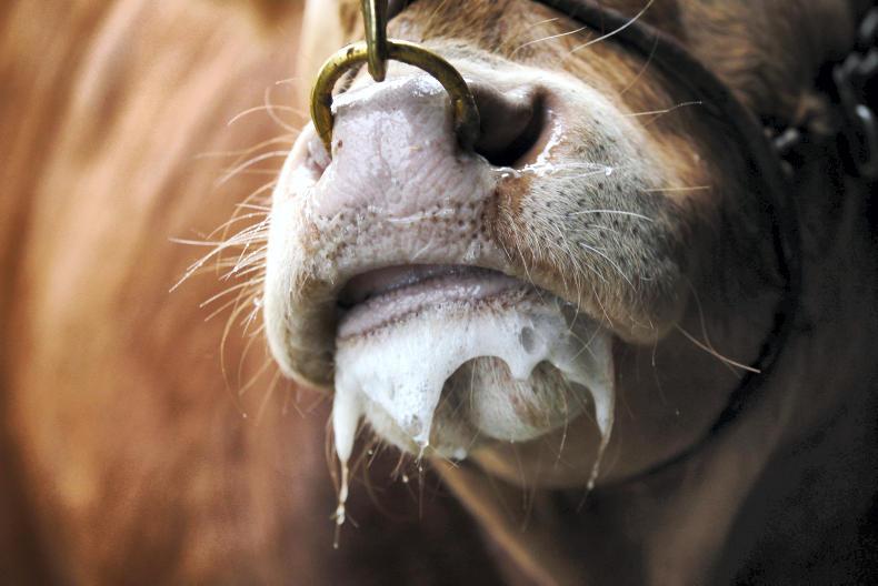 Farmer optimism in the UK growing       