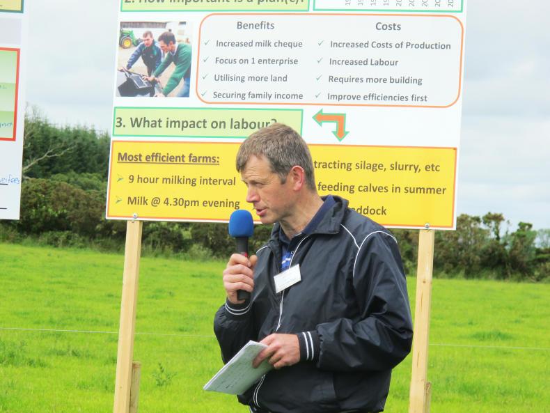 Great growth rates in high humidity