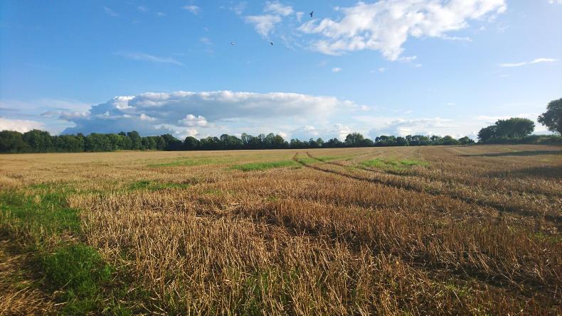 Machinery demos return to the Ploughing