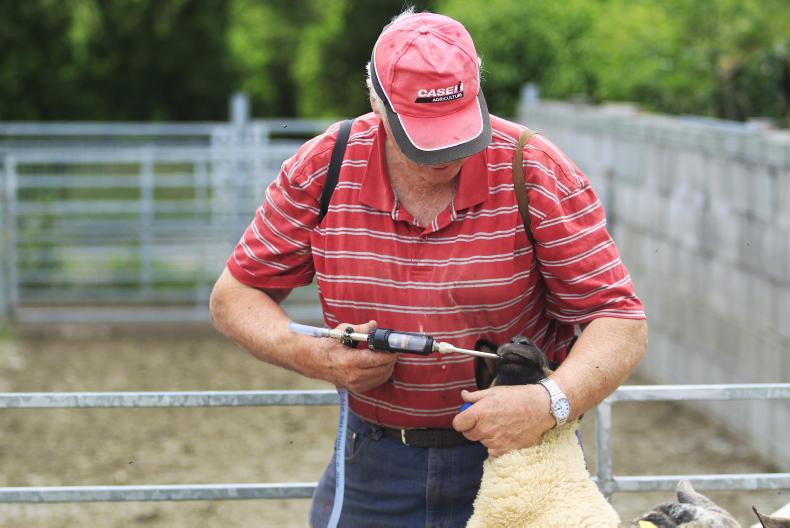 Sheep wormers reclassified for merchant sales