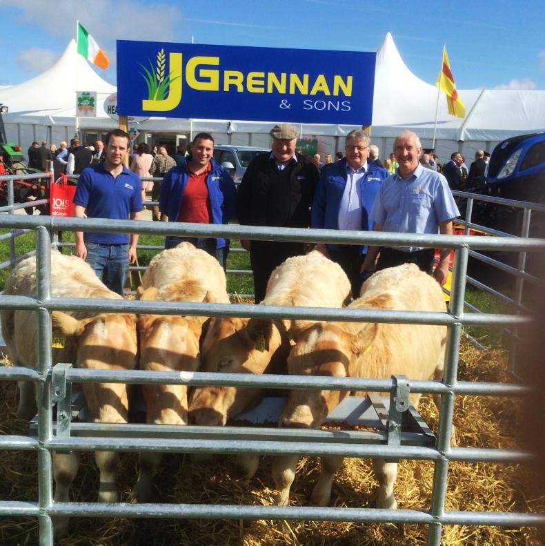 Watch: 'It was a miracle' - Clare quad calves to star at ploughing