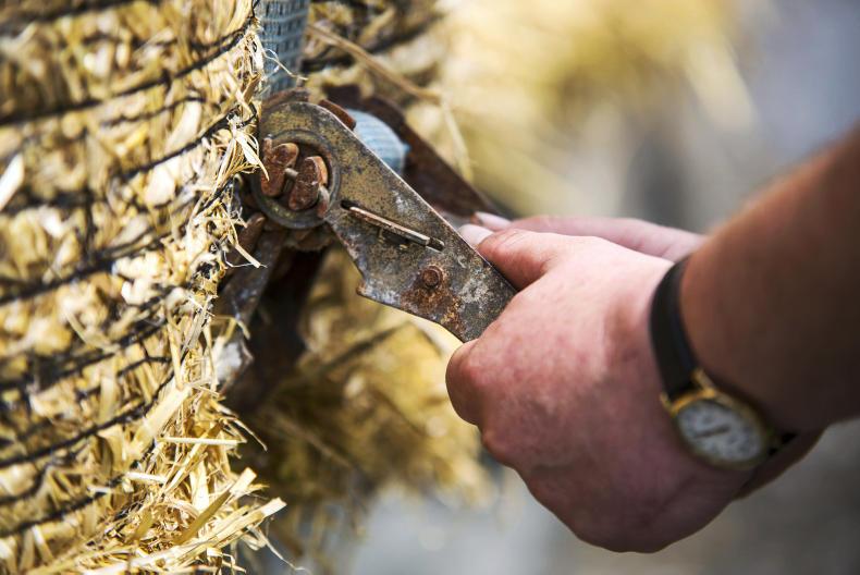 Straw all sold but not yet baled