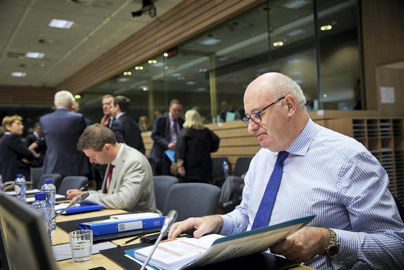 No risk management fund for market crises - Hogan