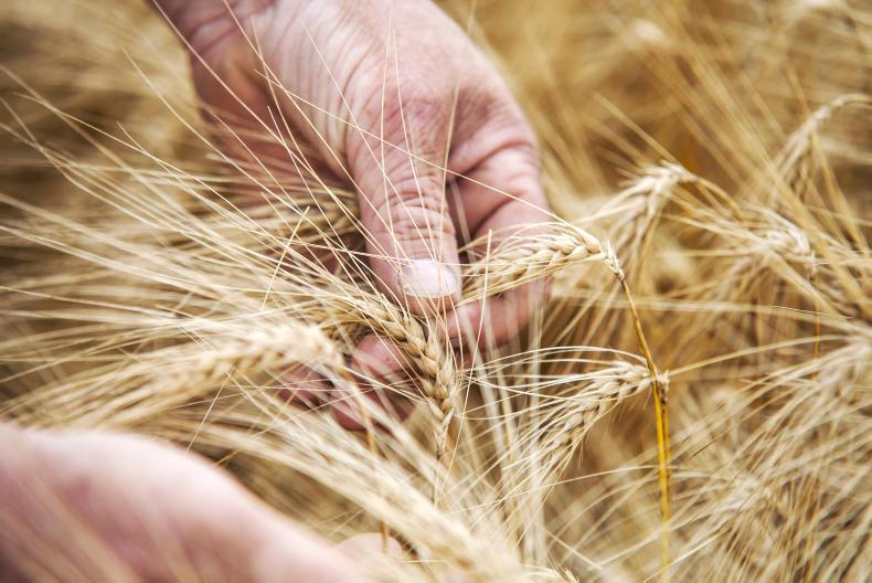 Grain prices weaken on international pressures