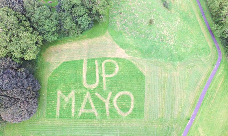 Mayo farmer leading the charge with nifty mowing work