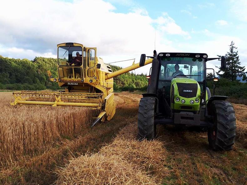 Farm Profit Programme: autumn approaches in the Cairngorms