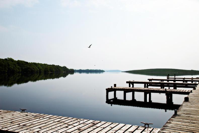 Living Life Top 5: What's on this week?