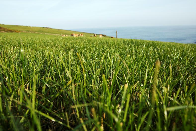 10 tips to keep in mind for share-farming