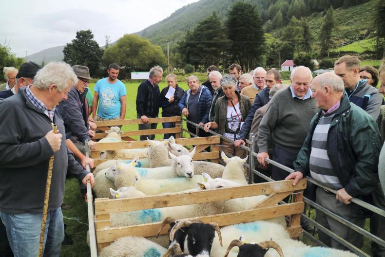 In pictures: hill farmers striving for improvement