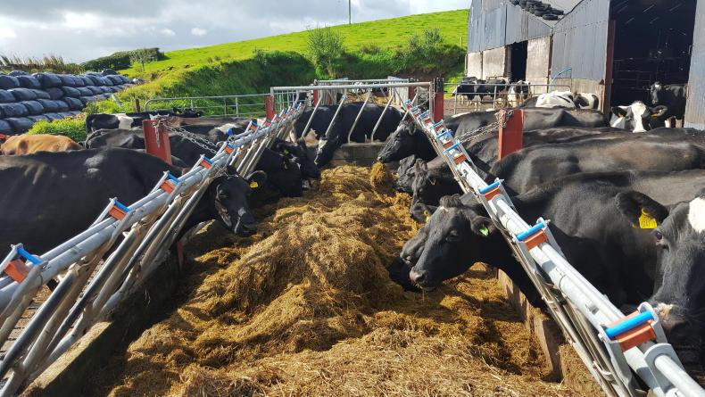 Watch: rain forces housing on heavier Dairylink farms 