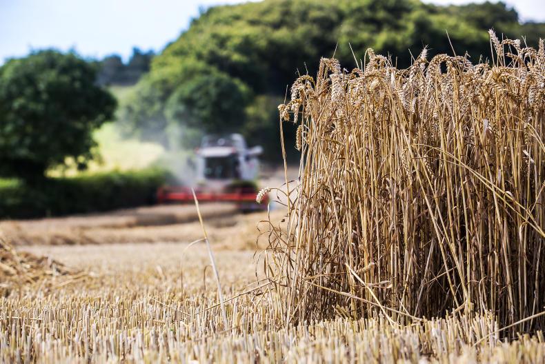 Markets to move out of harvest pressure