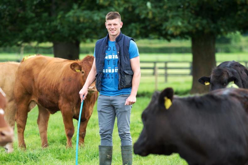 Derrypatrick update: calf weights and farm walk on Wednesday