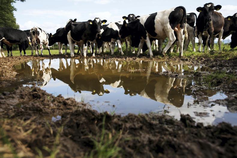 Storm Aileen to hit Ireland with 40mm of rain in parts and strong winds