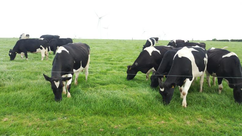 Farmer writes: Wales offers the same questions and answers