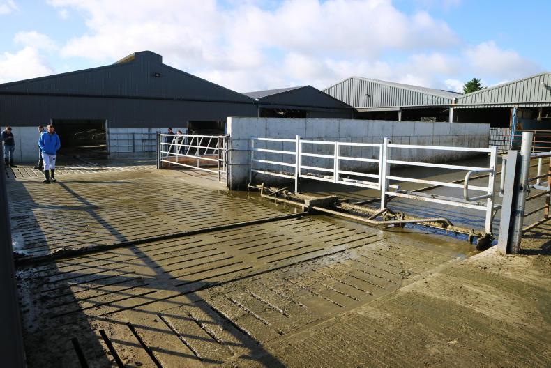 Improving cow flow on an old farmyard