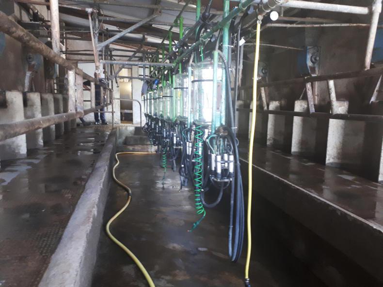 Quality Milk Awards 2017: Barryroe supplier working in competitive region