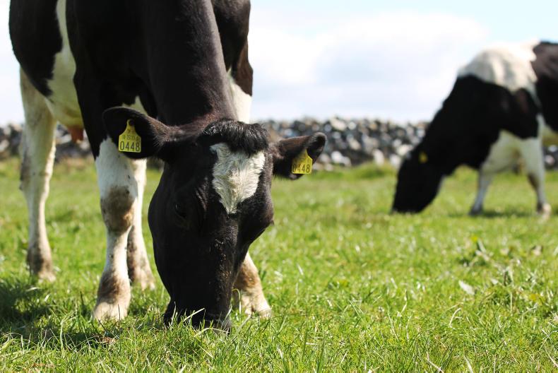 Arrabawn, Carbery and Aurivo set August milk prices