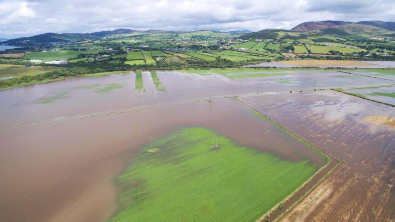 Appeal for silage donations for Donegal farmers