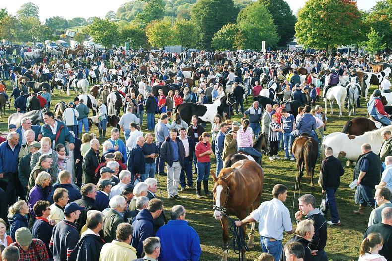 Full steam ahead for the Ballinasloe October Fair