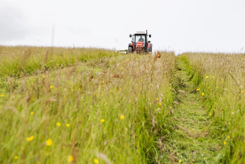 Merchants, contractors and vets carrying lengthy farm debts