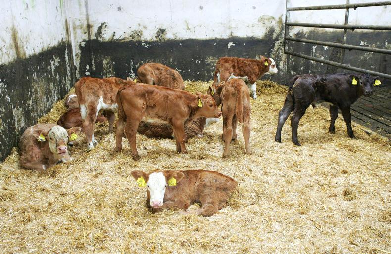 Early housing putting farms under pressure